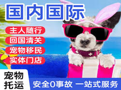 北海福成机场物流国际宠物托运 【国